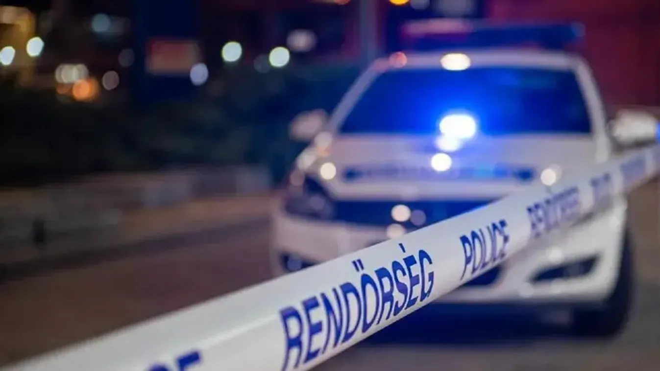 Fának csapódott egy autó Orbán Viktor konvojából - Több TEK-est kórházba vittek