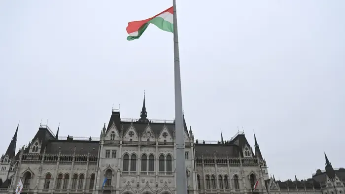 Lehull a lepel: megvan az ország karácsonyfája