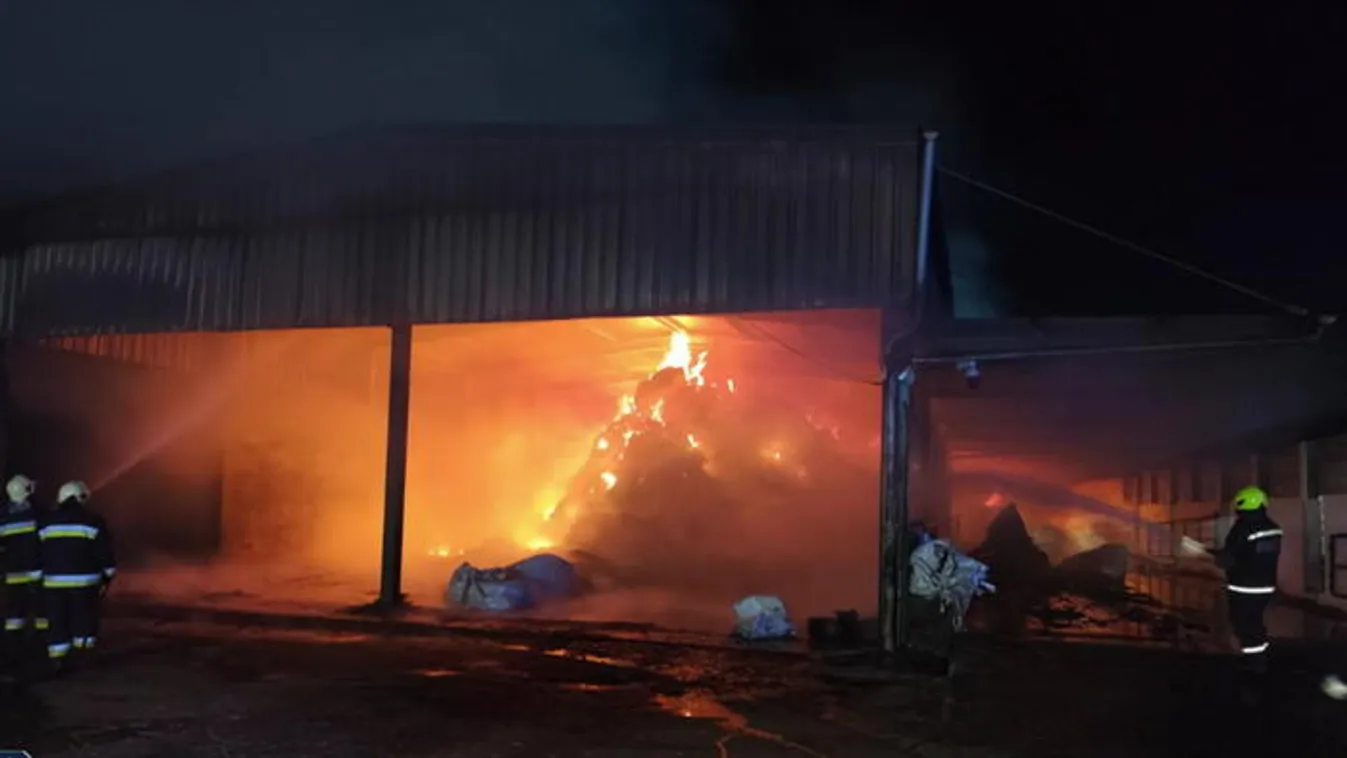 Mindent elpusztított a brutális tűz