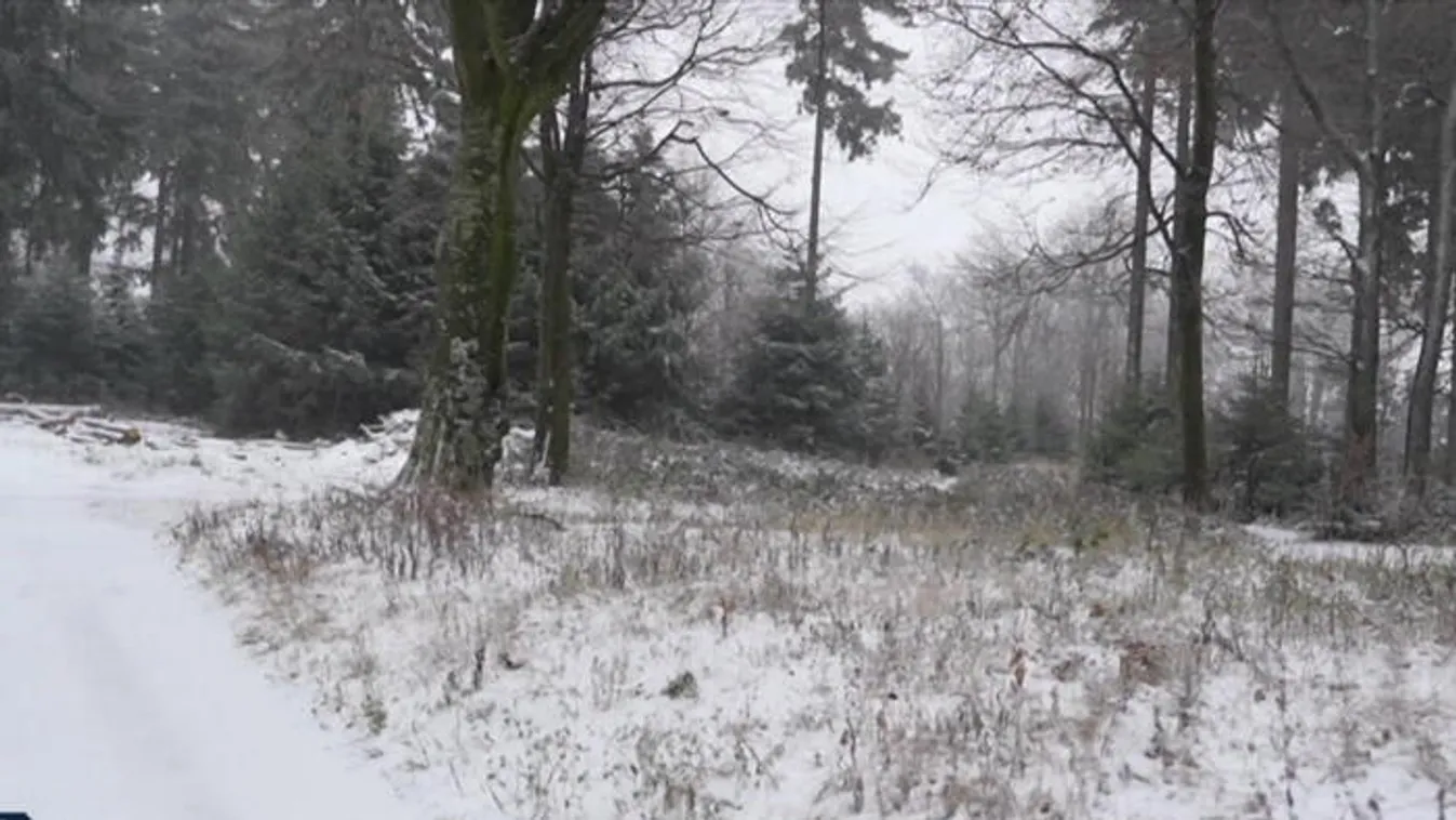 Sok helyen havazott, leesett az első hó