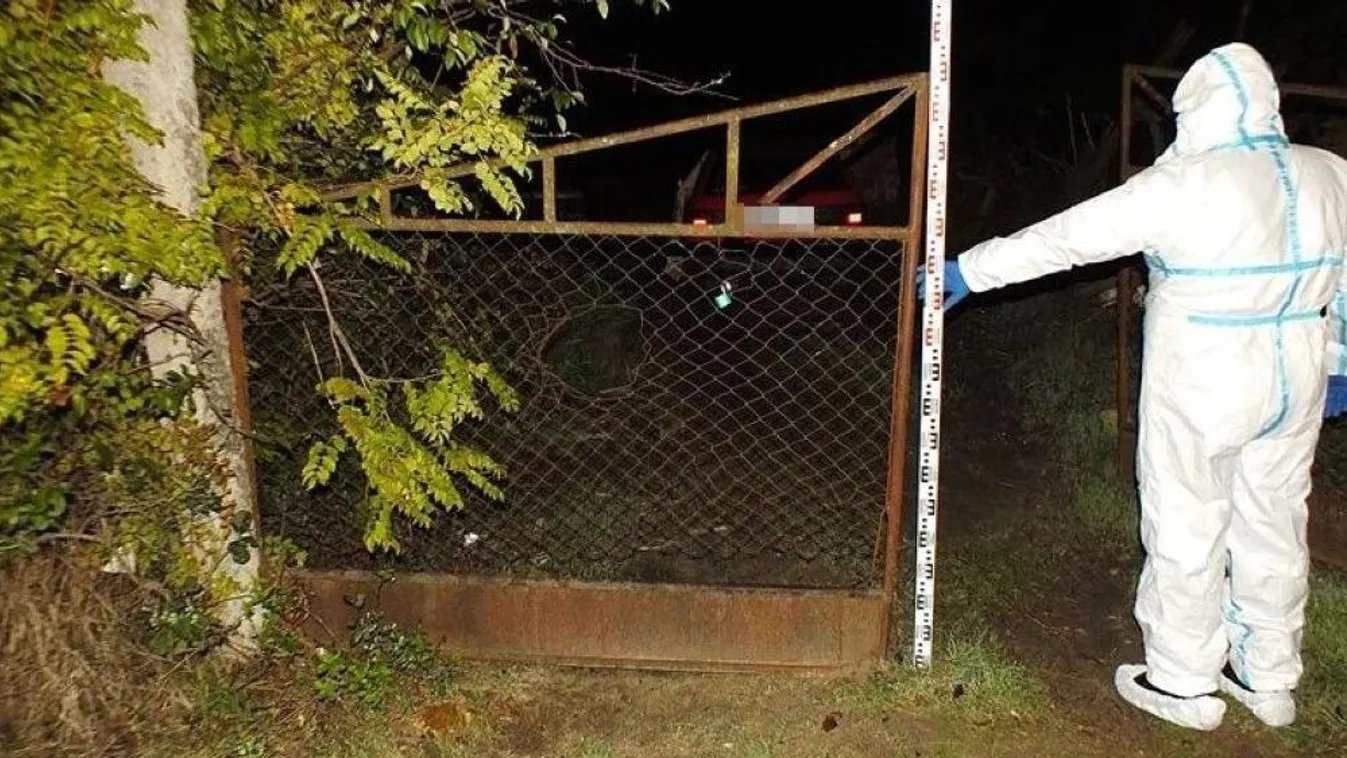 Letartóztatták K. Györgyöt, beismerte a gyilkosságot