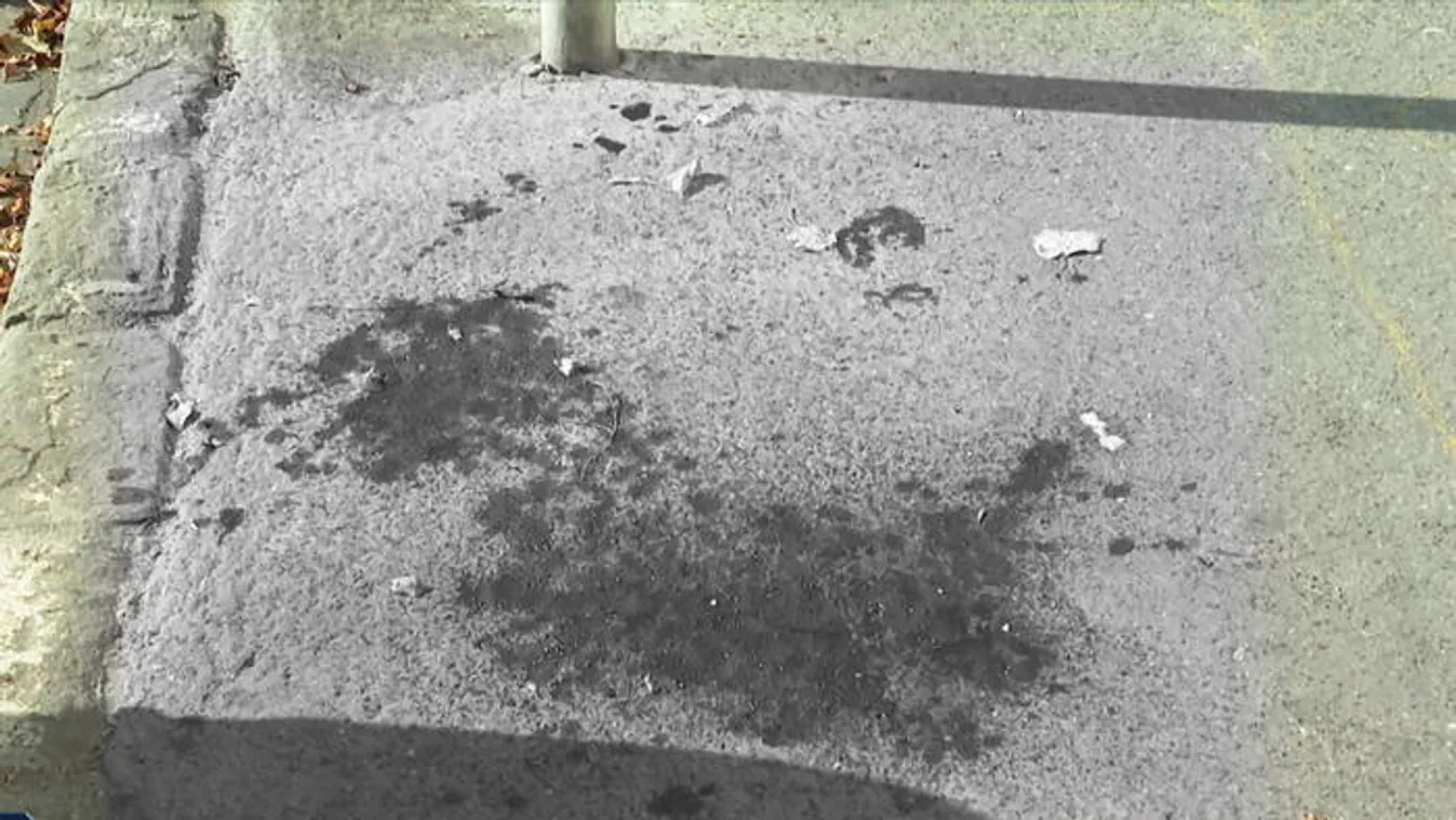 Elmenekült a brutális vérontás után