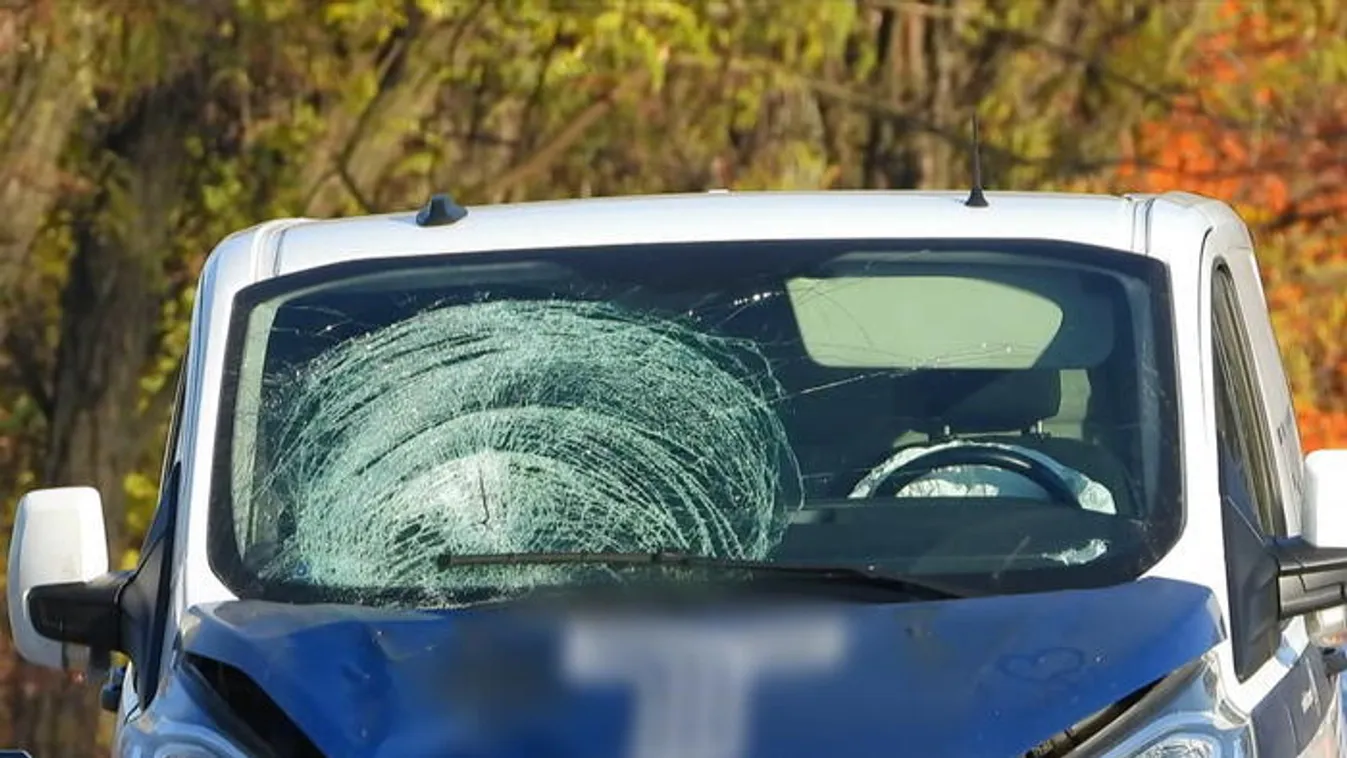 Kilépett a kisbusz elé, halálra gázolta