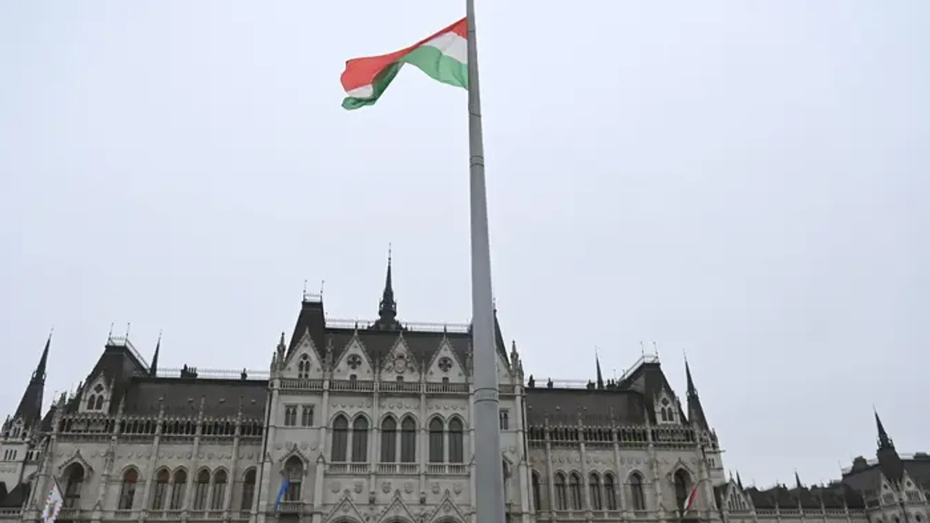 Lehull a lepel: megvan az ország karácsonyfája