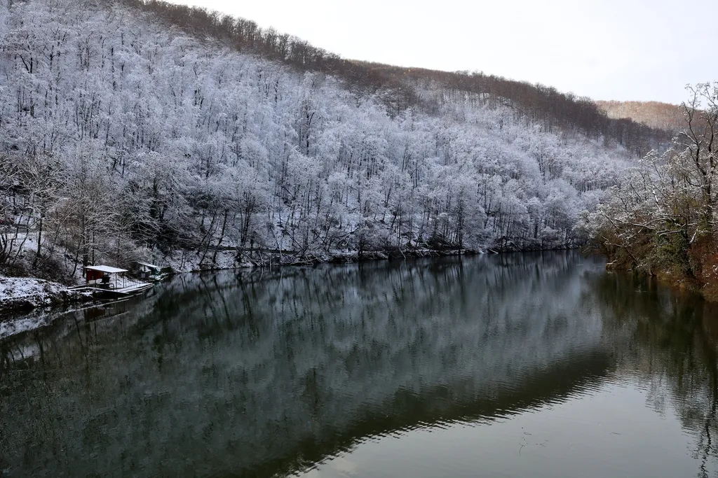 Lillafüred, 2025. november 22.
Behavazott fák Lillafüreden 2025. november 22-én.
MTI/Vajda János