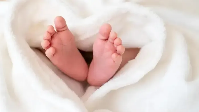 Aprótalpúval gyarapodott az ETO család