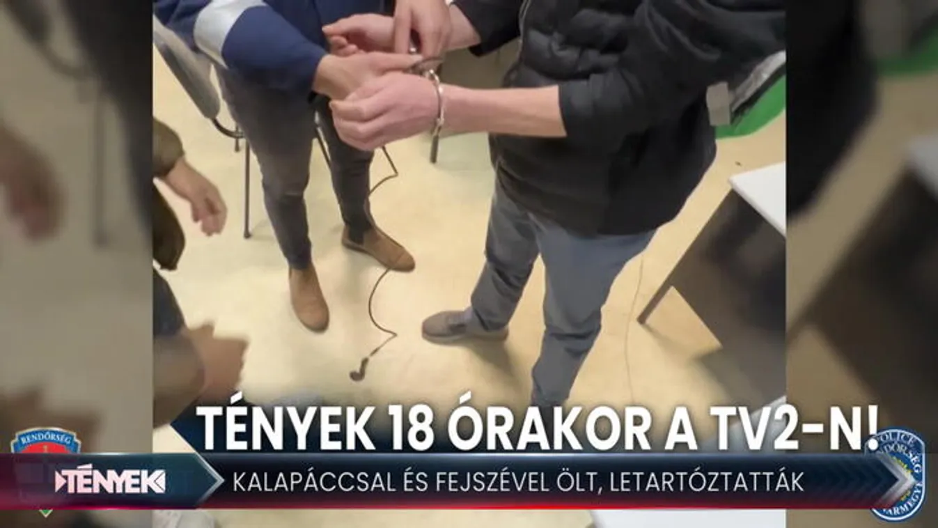 Fejszével végezte ki a nyugdíjast - Tények 18.00