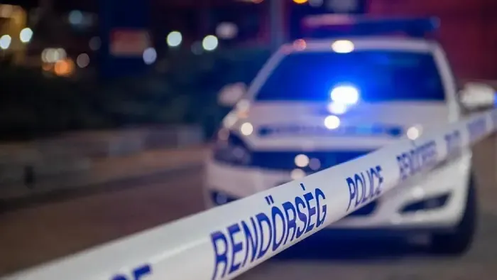 Fának csapódott a TEK egyik autója