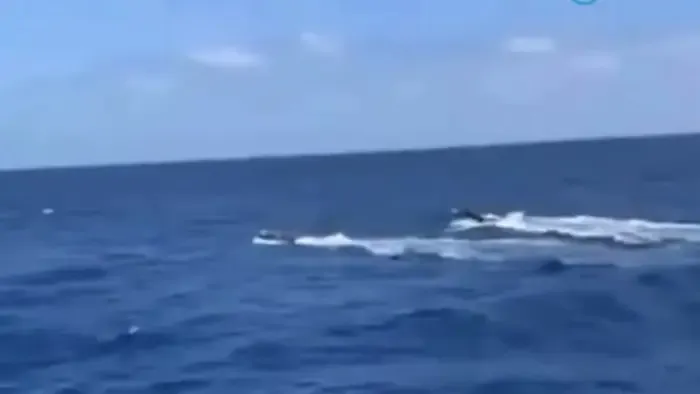 Tengeralattjárón foglaltak le 1,7 tonna kokaint az Atlanti-óceánon