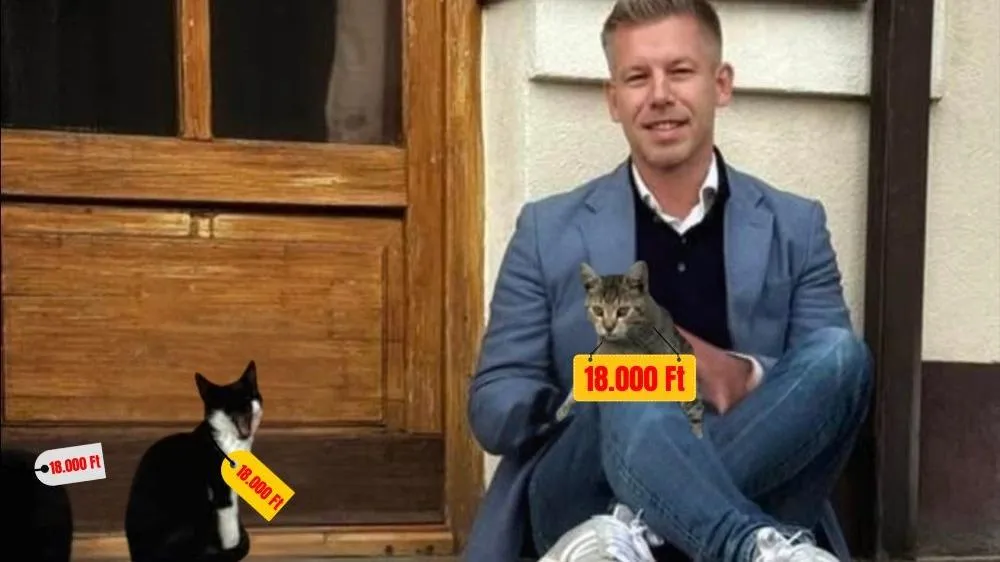 Orbán Balázs: A Tisza Párt programja valójában nem más, mint egy tipikus baloldali megszorítócsomag