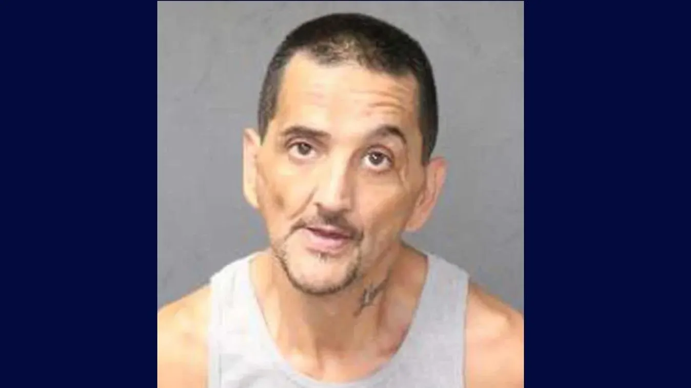 Idős nő emberi maradványaira bukkantak egy fagyasztóban, fia végzett vele