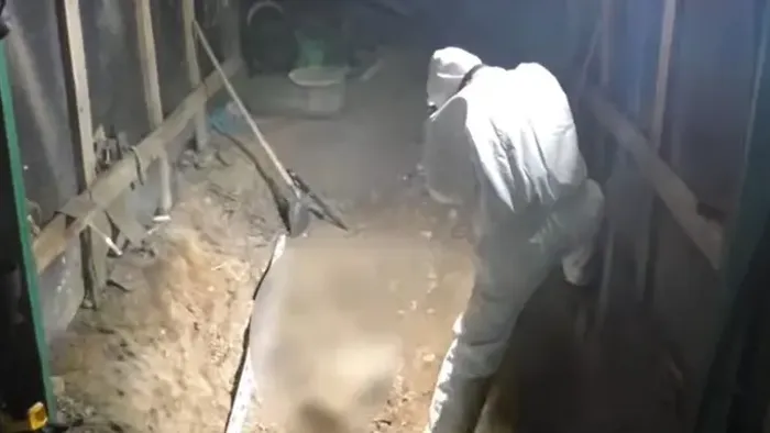 Emberi maradványokra bukkantak Devecsernél, 24 éves gyilkosságra derült fény - Videó