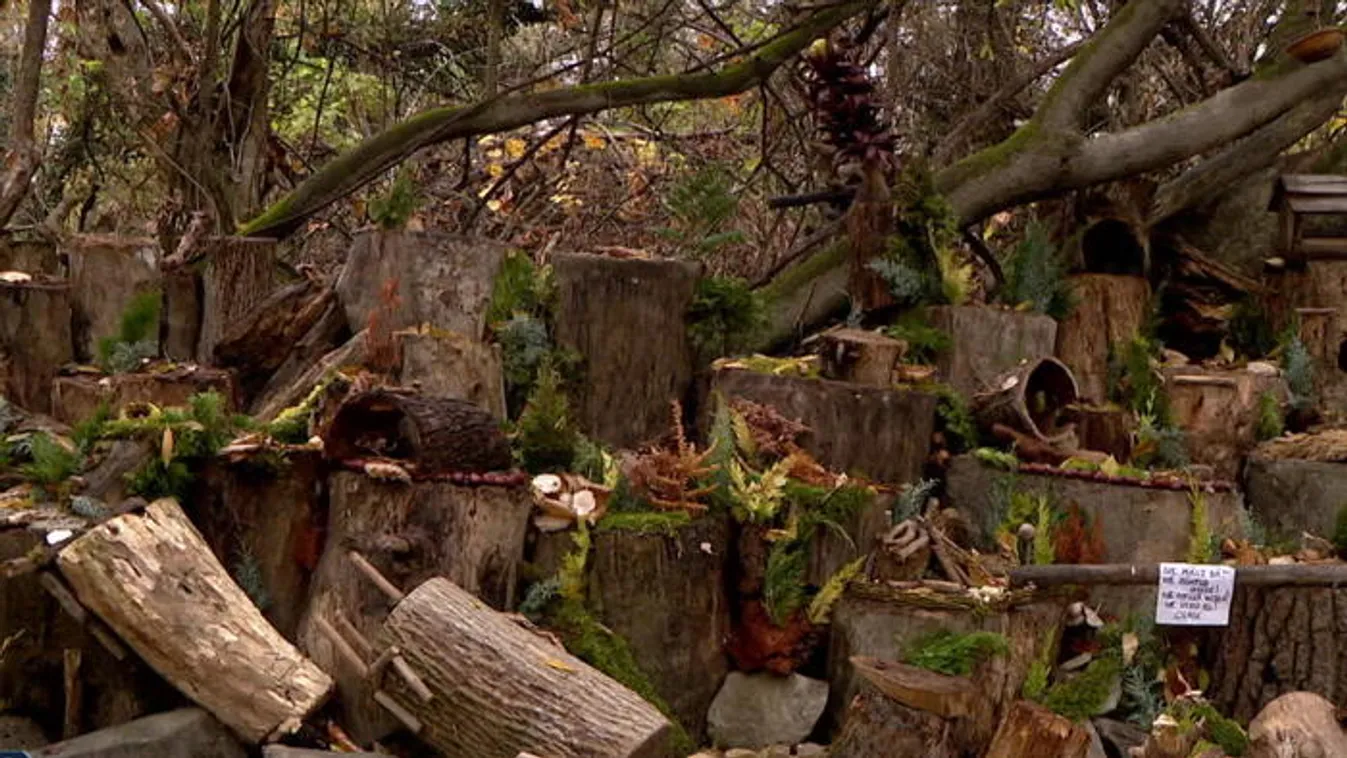 Vandálok verték szét Manófalvát