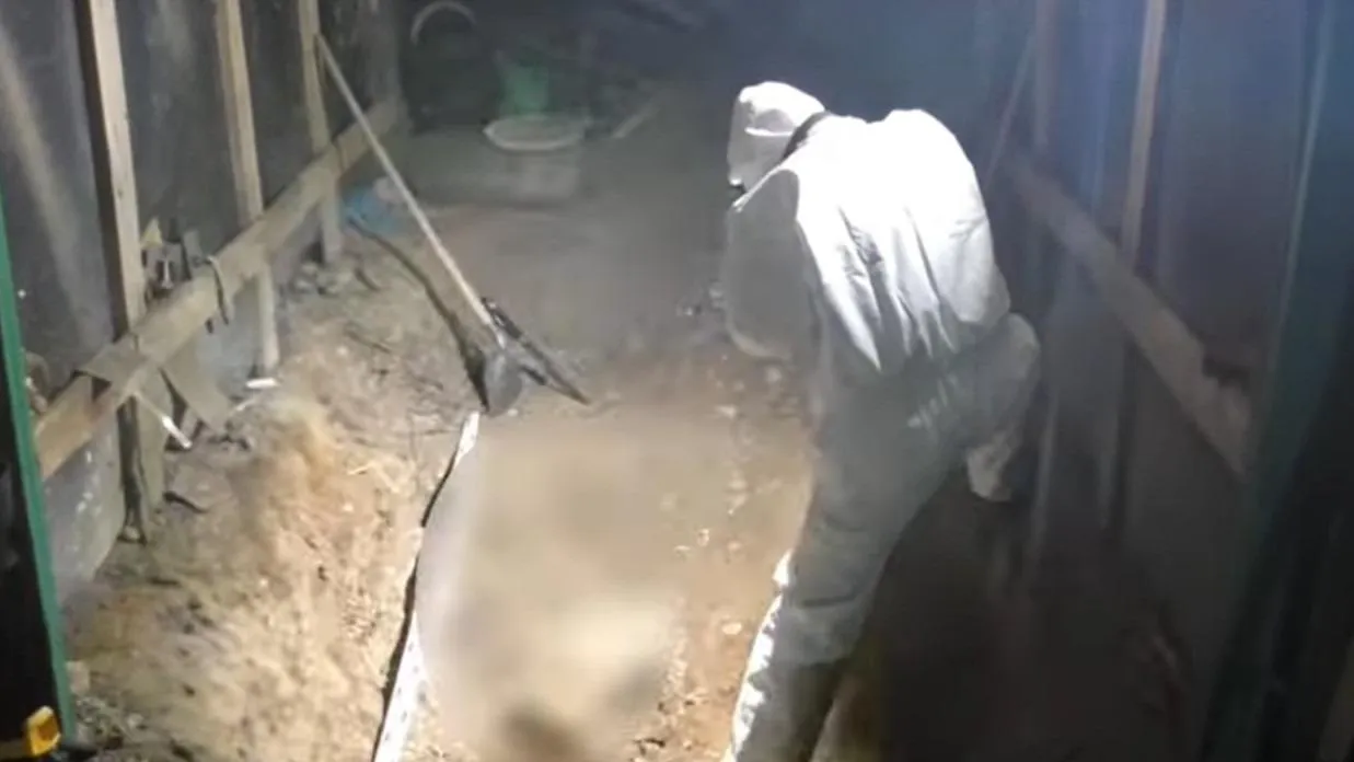 Emberi maradványokra bukkantak Devecsernél, 24 éves gyilkosságra derült fény - Videó