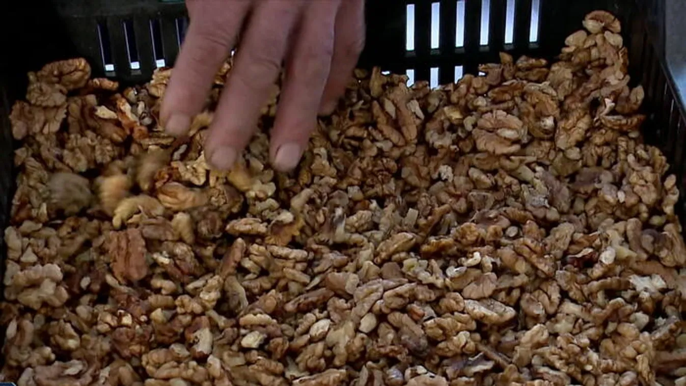 Drága lesz a bejgli a kevés dió miatt