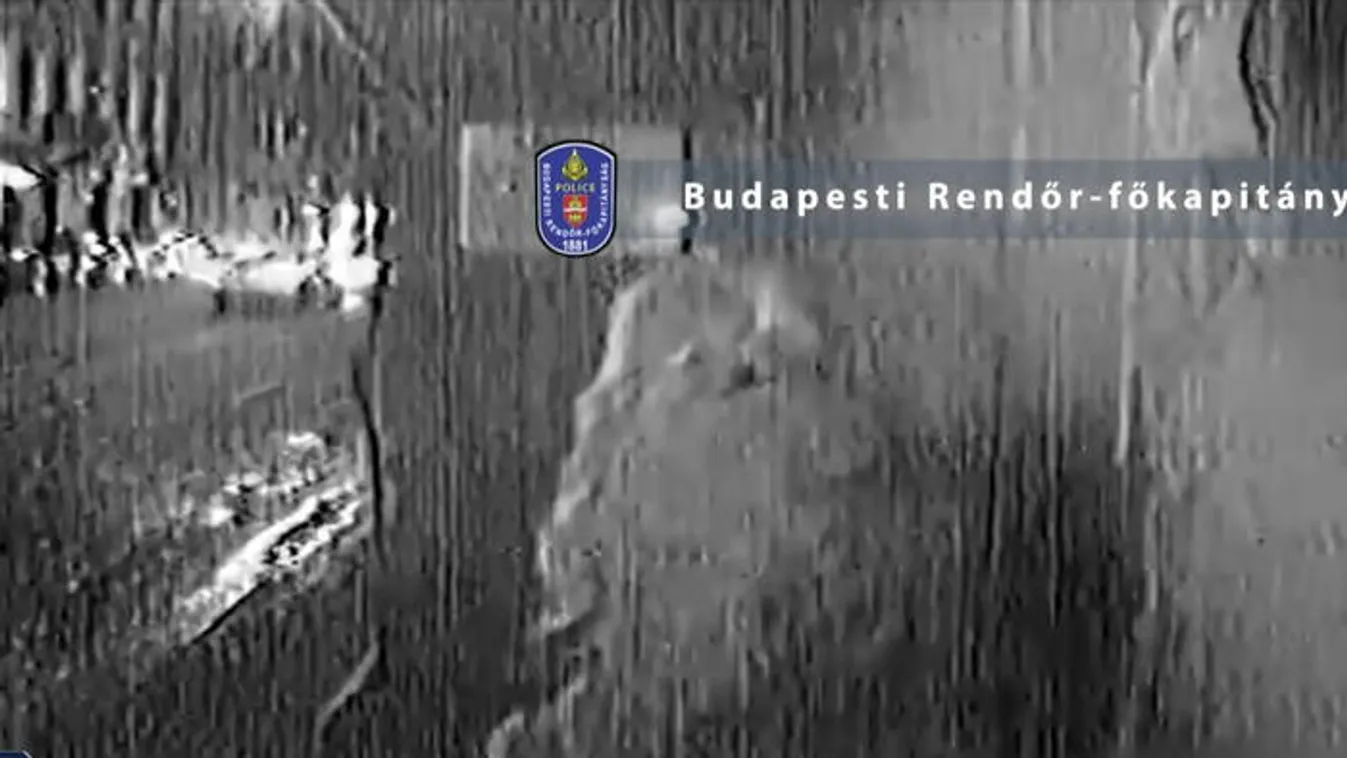 Nem lehetett több gyereke, lopott egyet