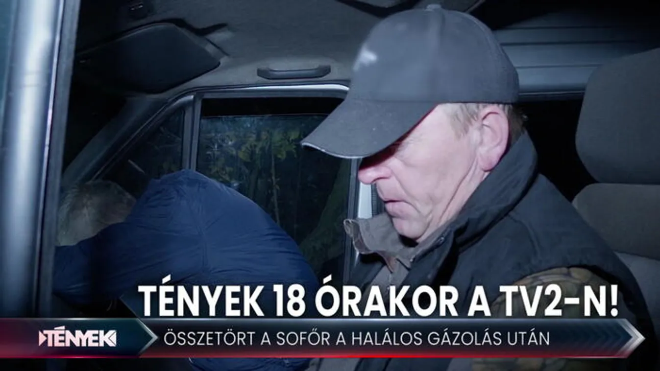 Hirtelen lépett a gyalogos az autója elé a sötétben - Tények 18.00