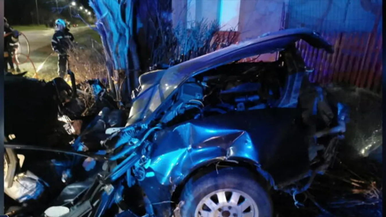 Fának csapódtak, ketten szörnyethaltak