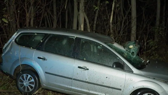 Részegen csapódott a fák közé a 41-esen