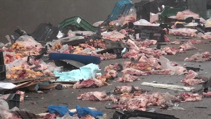 Darabokra szakadt a teherautó, mindent csirkehús lepett el az M5-ösön