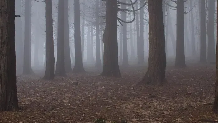 Tinit erőszakoltak meg egy parkban, hajtóvadászatot indított a rendőrség