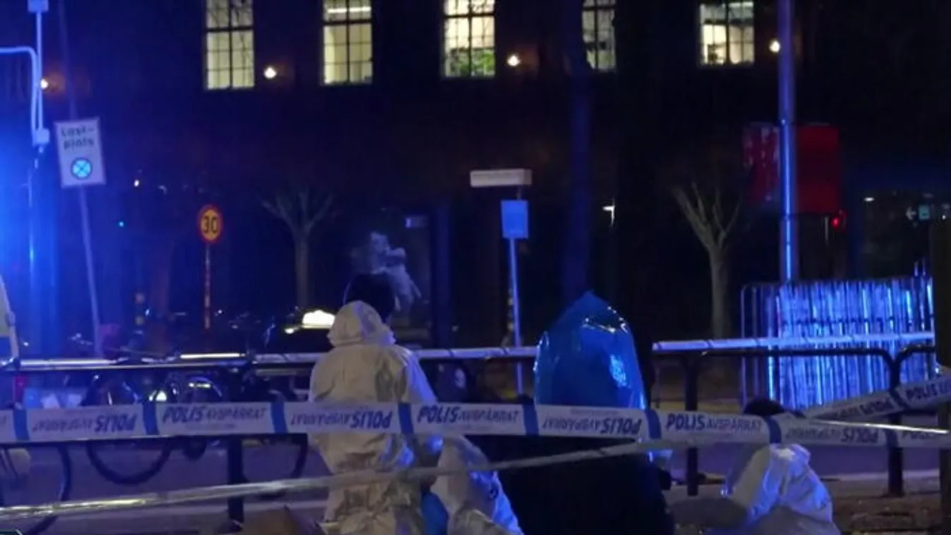 Megállóba csapódott a busszal