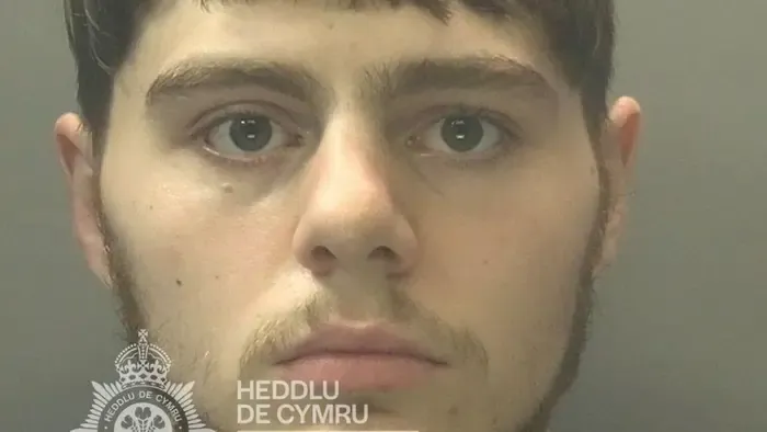 Halálra verte barátnője macskáját egy drogos fiatal, kedvesét sem kímélte