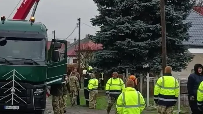 Ibrányból érkezik az ország fenyőfája