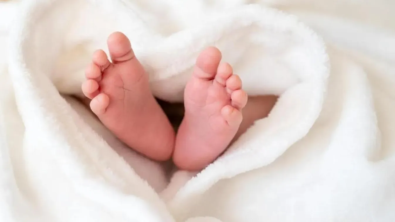 Aprótalpúval gyarapodott az ETO család