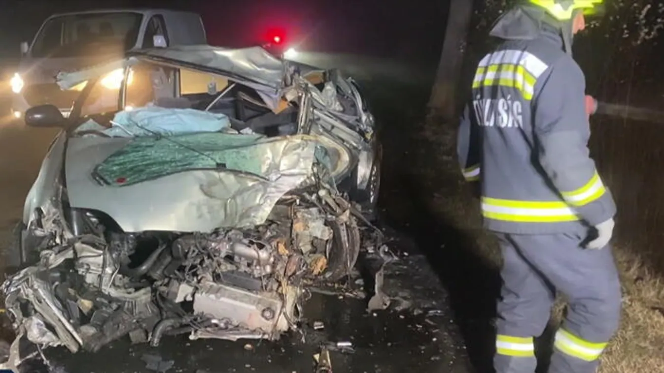 180-nal fának ütköztek, ketten meghaltak