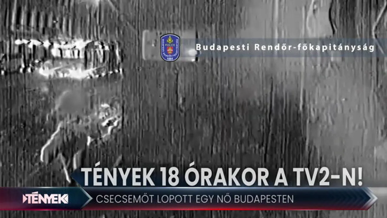 Videón a megrázó csecsemőlopás - Tények 18.00