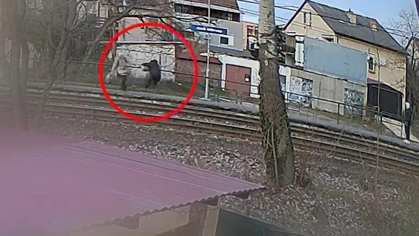 Durva rablás vettek videóra egy szigetszentmiklósi HÉV-megállóban