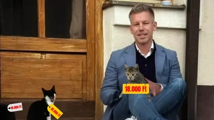 Az Index nyivánosságra hozta a Tisza Párt teljes adócsomagtervezetét