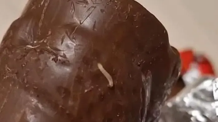 Magyar Péter jelöltje kukacos csokimikulást osztogatott a gyerekeknek Hajdúböszörményben