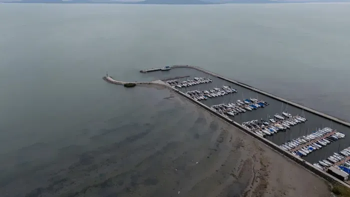 Gigantikus állatot fogtak ki a Balatonból