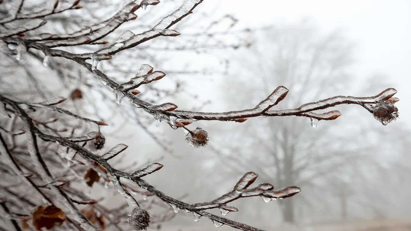 Durva cidrivel ér véget az év