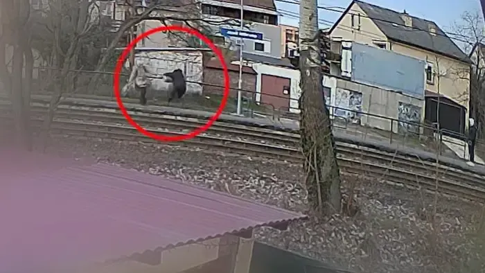 Durva rablás vettek videóra egy szigetszentmiklósi HÉV-megállóban