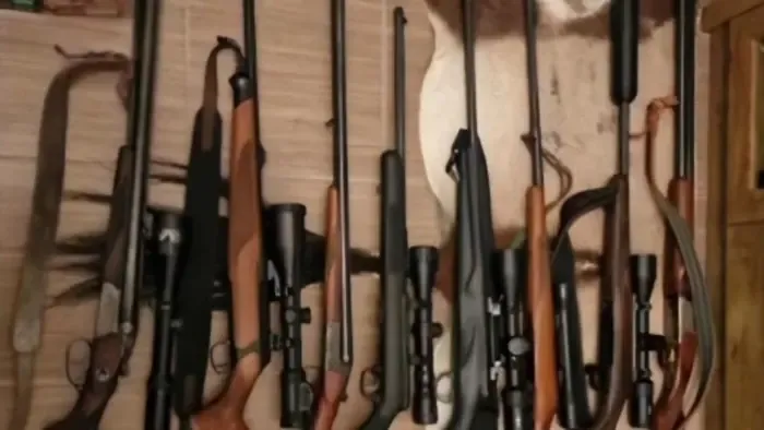 Ártatlan kölyökkutya lett egy vadász áldozata a Balatonnál