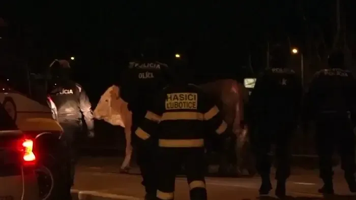 Furcsa riasztás borzolta a kedélyeket egy forgalmas csomópontnál Eperjesnél