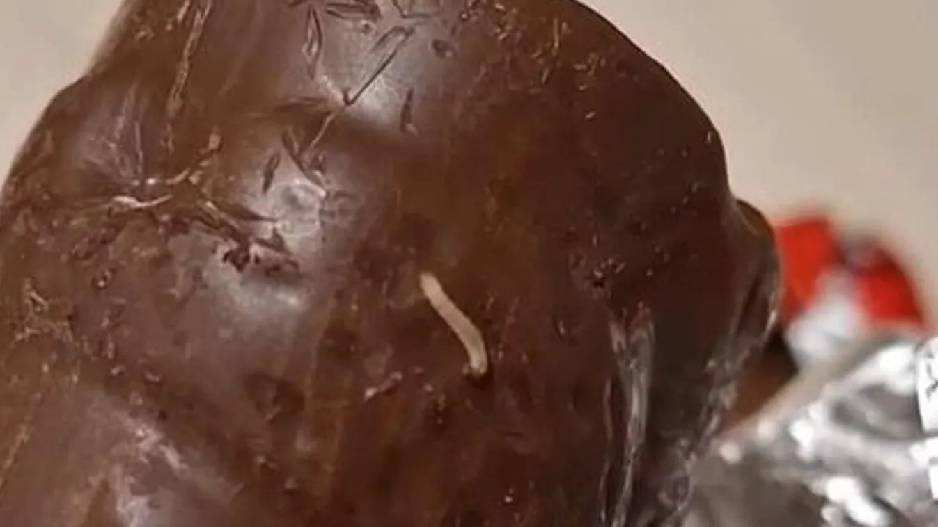 Magyar Péter jelöltje kukacos csokimikulást osztogatott a gyerekeknek Hajdúböszörményben