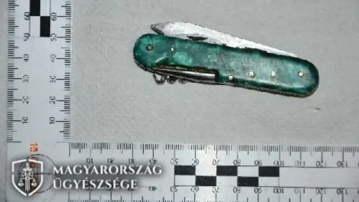 Késsel tett pontot a veszekedés végére egy szabolcsi férfi, mellkason szúrta vitapartnerét