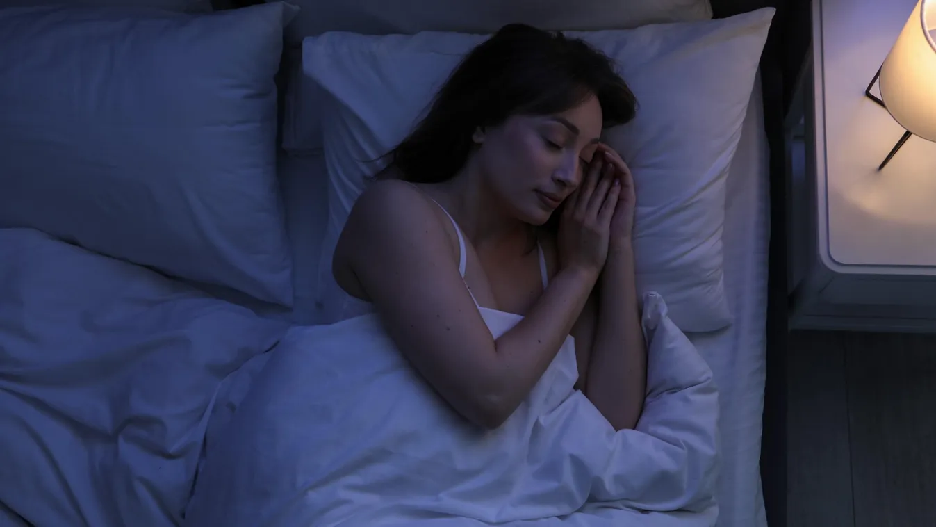 Bemászott a hálóba a borsodi besurranó, simogatni kezdte az anyukát