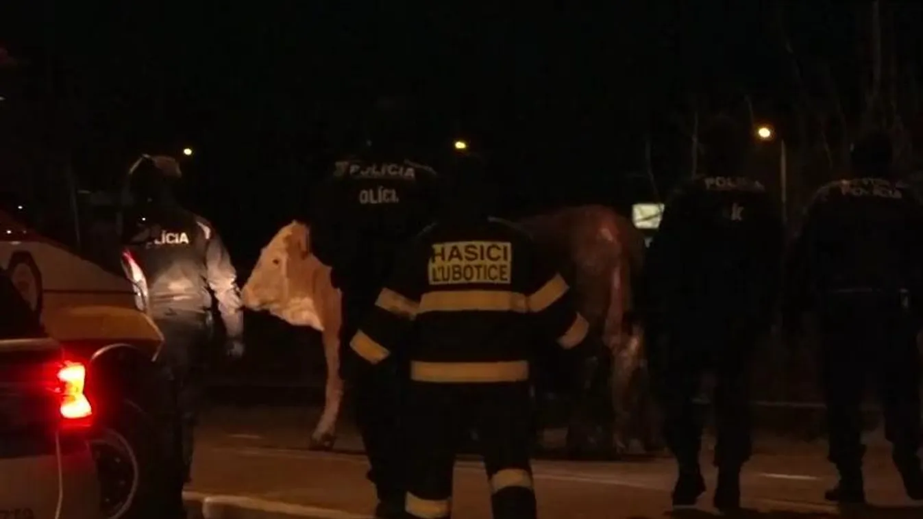 Furcsa riasztás borzolta a kedélyeket egy forgalmas csomópontnál Eperjesnél