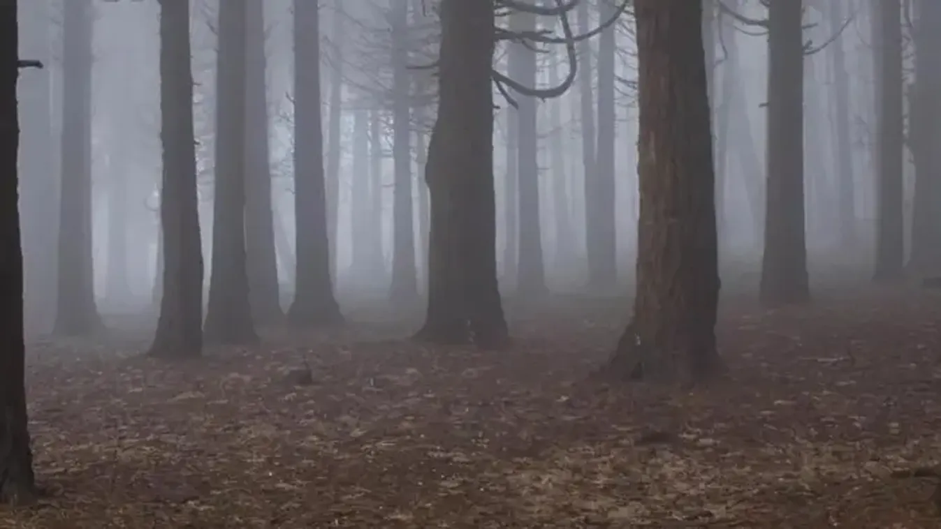 Holttestet talált Tokajnál egy kiránduló