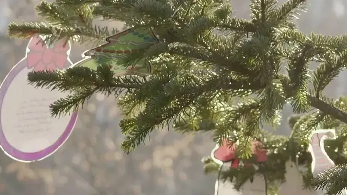 Uborka a feldíszített fenyőbe rejtve?