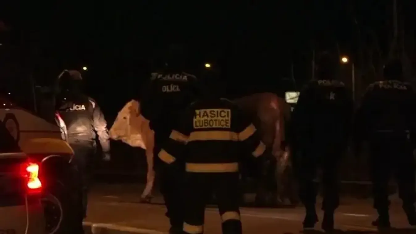 Furcsa riasztás borzolta a kedélyeket egy forgalmas csomópontnál Eperjesnél