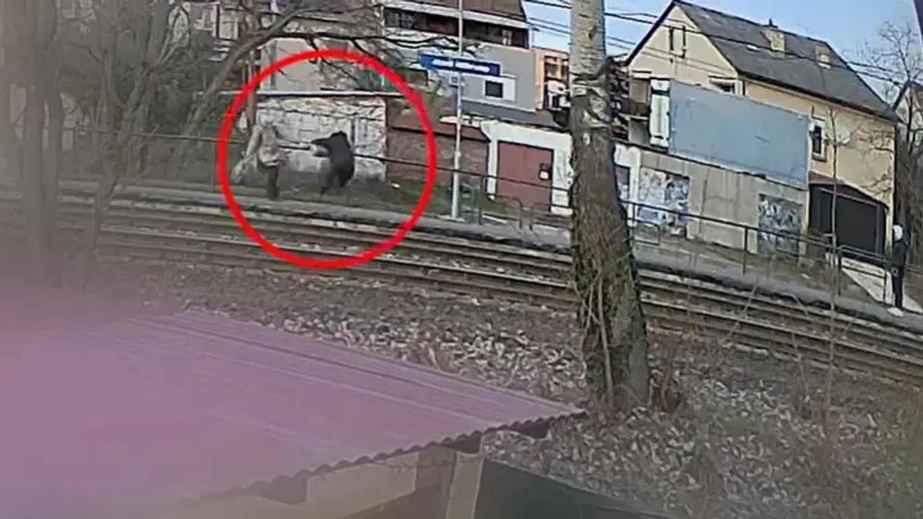 Durva rablás vettek videóra egy szigetszentmiklósi HÉV-megállóban