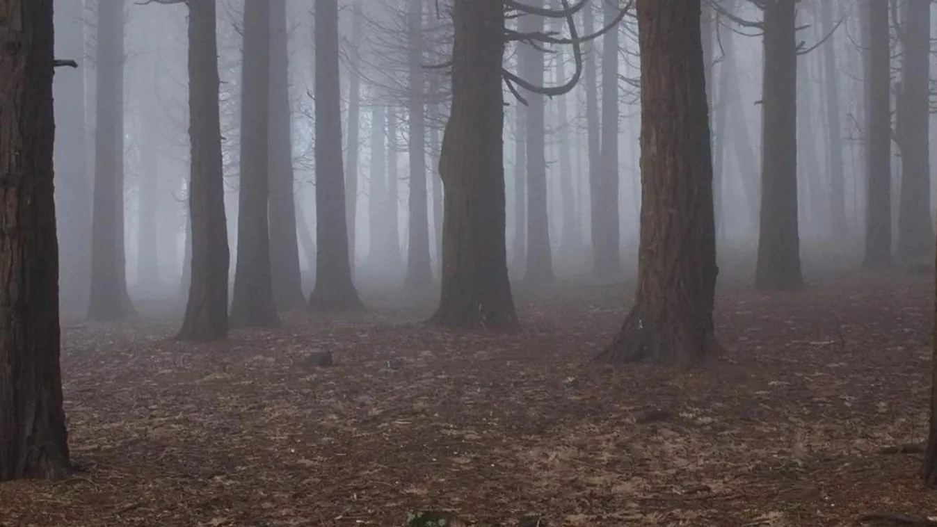 Kiadták a figyelmeztetést, a fél országra kiterjed