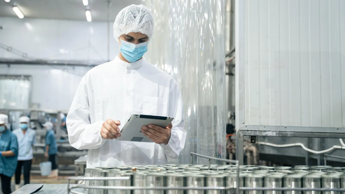 Így lehetnek sikeresek az élelmiszeripari pályázatok