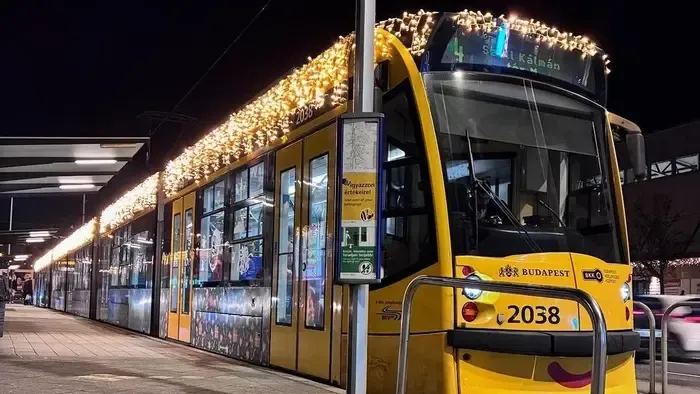 Egy öt kilogrammos harcsa utazott egy budapesti villamoson